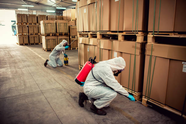 Best Emergency Pest Control  in Winnie, TX