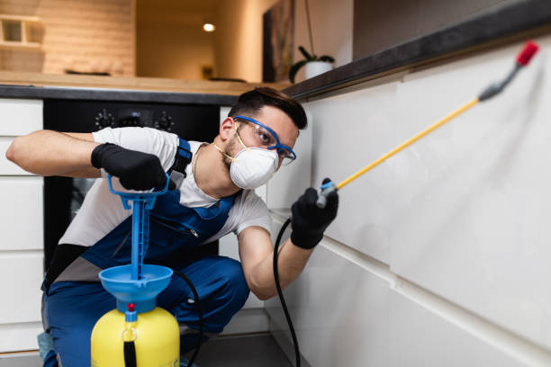 Flea Control Services in Winnie, TX