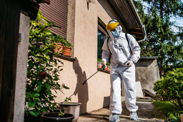 Best Affordable Pest Control Services  in Winnie, TX