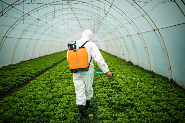 Best Mosquito Control Services  in Winnie, TX
