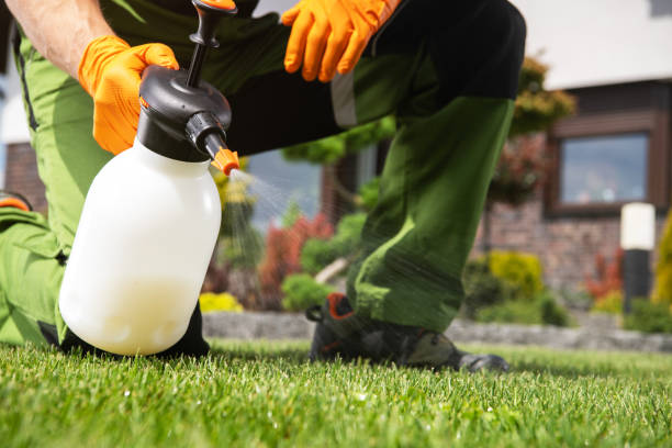 Best Affordable Pest Control Services  in Winnie, TX