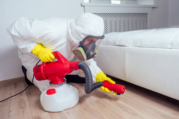Best Bed Bug Extermination  in Winnie, TX