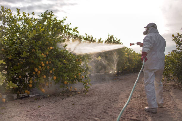 Best Exterminator Services  in Winnie, TX