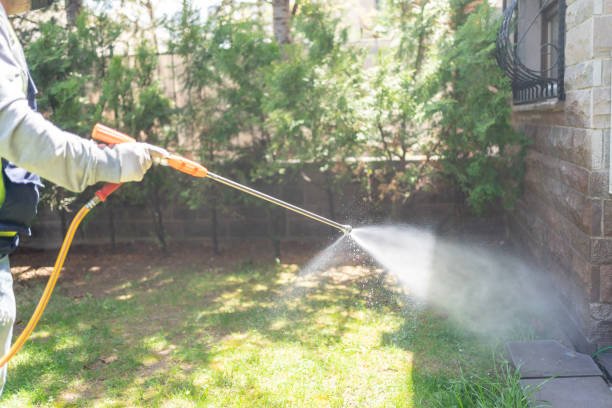 Best Pest Prevention Services  in Winnie, TX