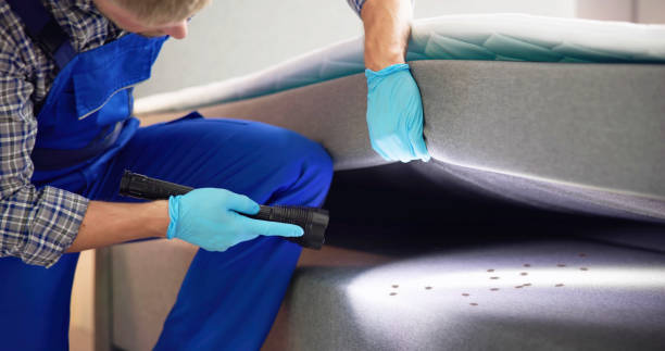 Best Termite Control Services  in Winnie, TX