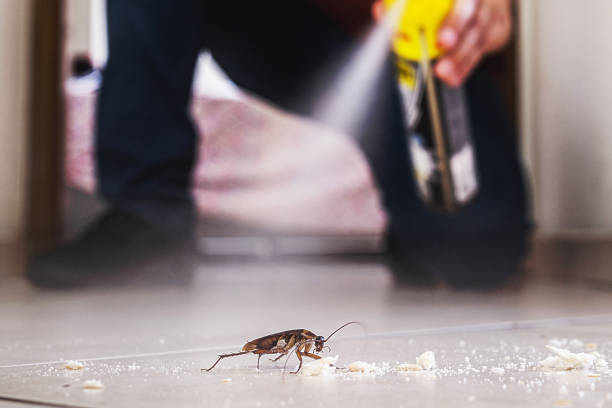 Wasp Removal Services in Winnie, TX