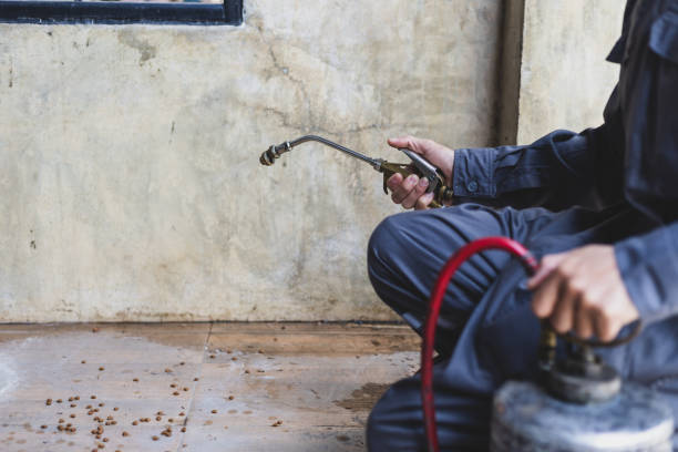 Best Pest Removal Services  in Winnie, TX