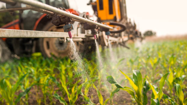 Best Pest Control Cost  in Winnie, TX